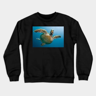 Sea Turtle Crewneck Sweatshirt